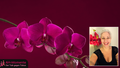 Infografik: AH Momente