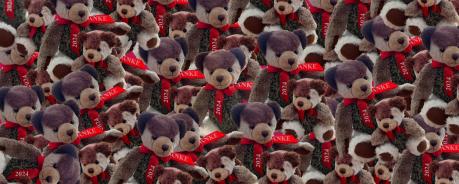 2024 Header Teddies .jpg