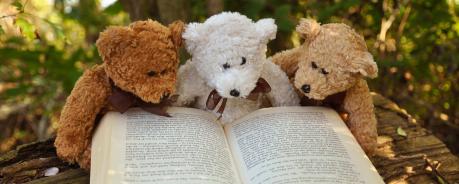 Teddys mit Buch