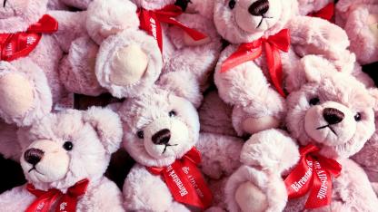 Hier sind sehr viele der diesjährigen Solidaritätsteddys zu sehen: Sie sind altrosa und flauschig. Sie tragen eine Schleife, auf der steht: "Bärenstark für die AIDS-Hilfe"